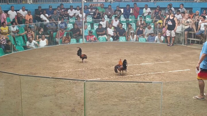 2WINS DOUBLE CHAMPION @ TALISAY SPORTS COMPLEX                                             4TH FIGHT