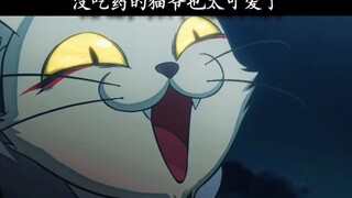 没吃药的猫爷太可爱了