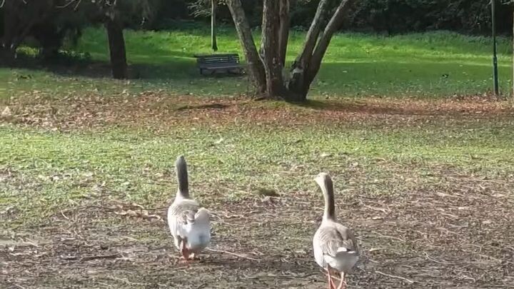 Parque da Cidade do Porto Portugal