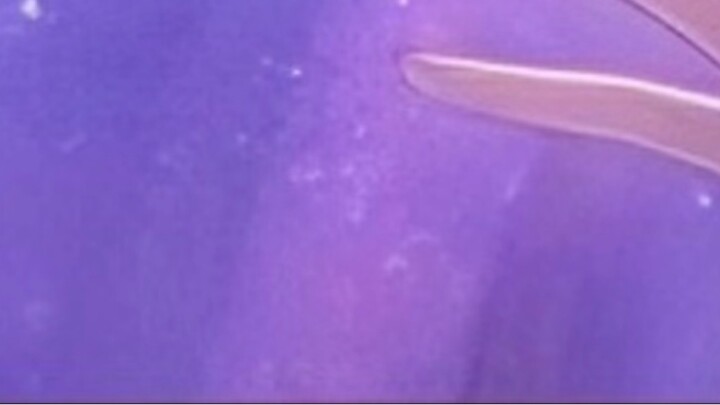 《Honkai Impact: Star Railway》Trở thành thần PV●▛▙—[giết chết nụ hôn Daxiang chân] Súp nguyên bản thà