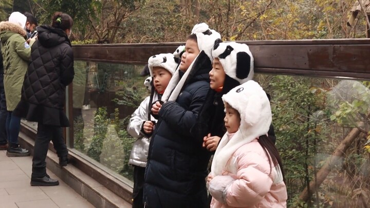 [Year-end summary] A belated 2021 year-end summary to say goodbye to the old and welcome the new