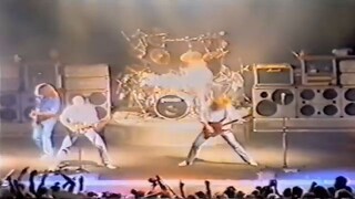 Status Quo live in Skanderborg (Denmark 11-08-1995)