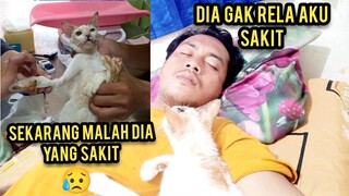 kucing Ini Setia  Banget Menunggu Yang Merawatnya Sakit Tapi 2 Hari Kemudian Malah Dia Yang Sakit😭