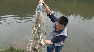 华农兄弟：兄弟家的鱼跑河里去了，帮他网回来，一网下去还不少