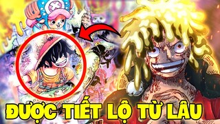 SỨC MẠNH NIKA ĐÃ ĐƯỢC GỢI Ý TỪ LÂU | GEAR 5 CỦA LUFFY ĐÃ ĐƯỢC GỢI Ý TỪ TRƯỚC