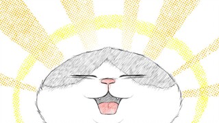 Gold glutton 😺
