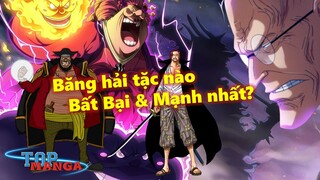 Đâu mới là băng hải tặc Bất Bại & Mạnh nhất One Piece?