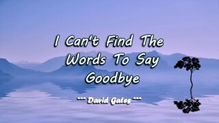I Can't Find The Words To Say Goodbye - David Gates ( KARAOKE )