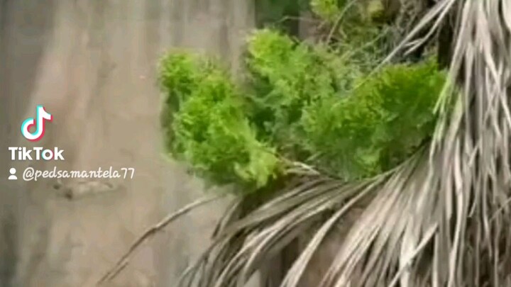 🙊🙊🙊🙊🙊SUBSCRIBE TO MY CHANNEL PLS...