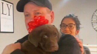 When the children helped their father fulfill his dream of raising a Labrador
