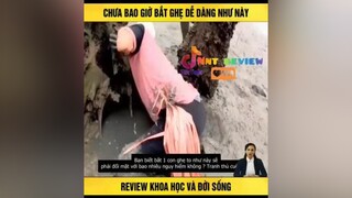 Bắt ghẹ dễ dàng nnt_review reviewphim TVSHOWHAY mereviewphim