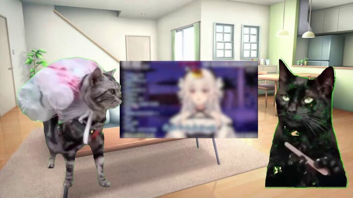 [Cat Meme] Khi tôi viết trạm B là vup trong sơ yếu lý lịch của mình, tôi không ngờ rằng cuộc phỏng v