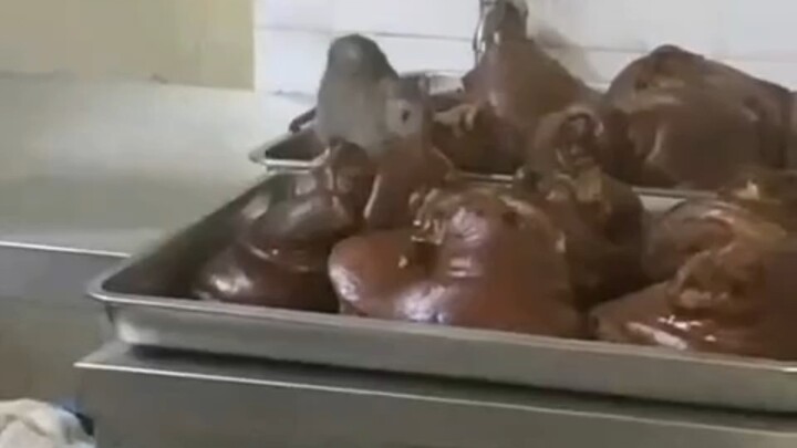 ให้หนูๆ กินจนพุงกางไปหมดแล้ว