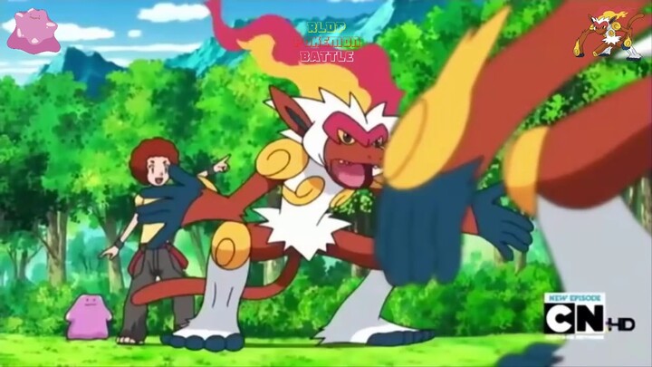 Ditto VS Infernape   Pokemon Battle