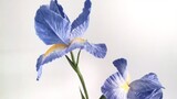 Bunga seni kertas iris raksasa yang lucu