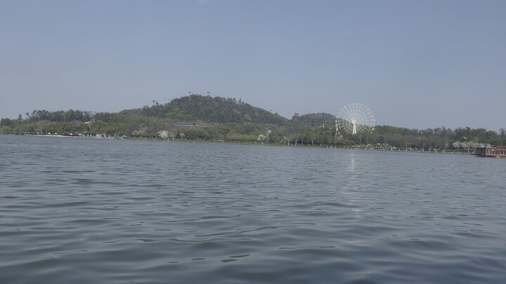 Excited Pigeon on a Trip: “Look! Seagulls!!”   Pigeon, After Thinking It Over: “Do seagulls even han