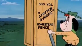 ขอบคุณที่เราโตขึ้น