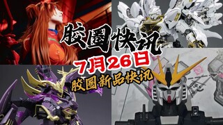 【7月26日胶圈快讯】