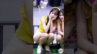 꽃밭이 이런건가 #김한나 #염세빈 #치어리더