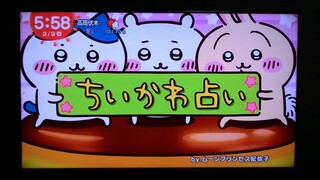 【ちいかわ】占い&アニメ  水曜日バージョン