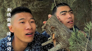 打探龙哥底细～