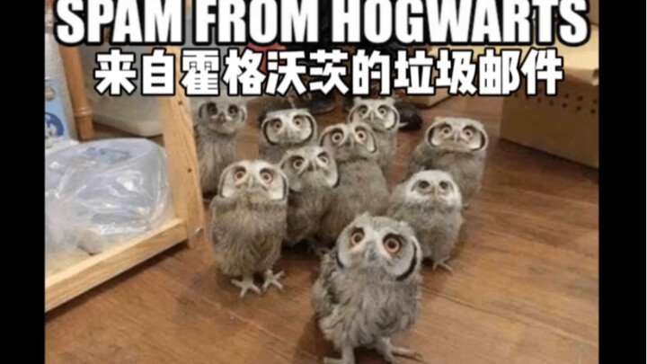 [Harry Potter] Easter Eggs Only True Fans Can Spot (Part 13)