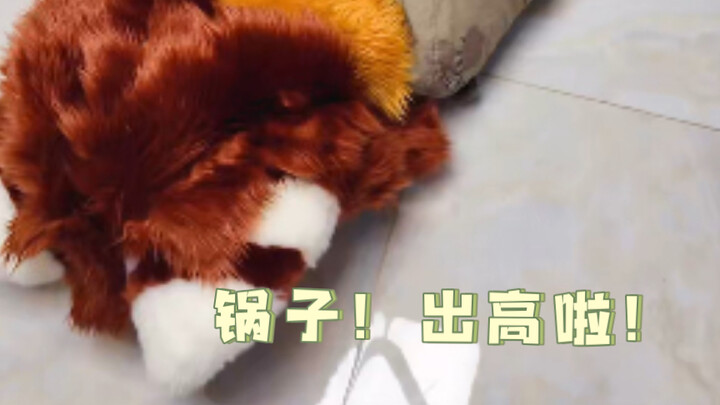Nồi! Xuất cao rồi!