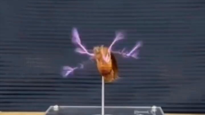 แรงกระแทกของแท่งพลาสม่าที่ทะลุผ่านตัวแมลงสาป