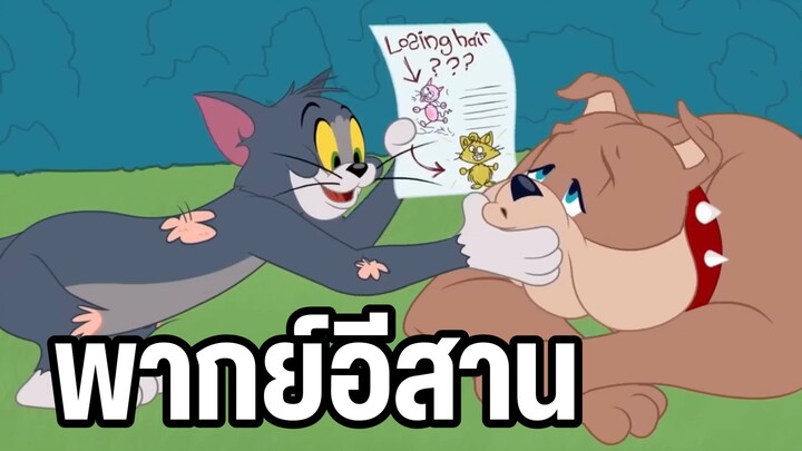 ทอมแอนด์เจอร์รี่ พากย์อีสาน ตอน ขนทอมร่วง
