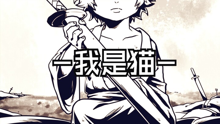 [กินทามะ ลายมือ] ต่อให้แมวขนยาวเป็นโรคเชื้อราที่ผิวหนัง ก็ยังถูกโกนจนเหมือนเดวอน!