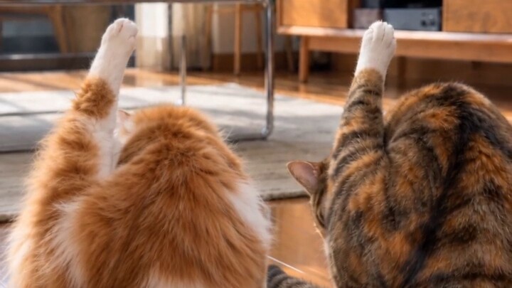 Chị giáo viên! Chúc mừng Ngày Nhà giáo!