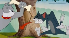 053-The Framed Cat [1950]
