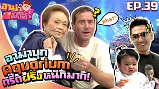 อาม่ามาล้ำ l อาม่าบุก..อควาเรีย ภูเก็ต (Aquaria Phuket) EP.39