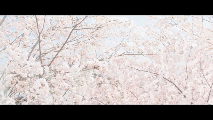 The Last 10 Years [2022] Sub Indo