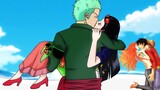 Straw Hats' Final Couples Revealed - One Piece