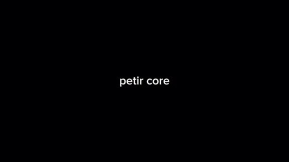 Petir core