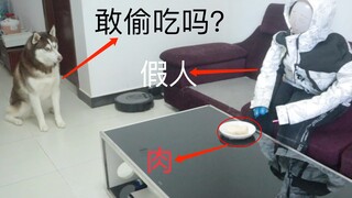 用主人衣服做出来的假人，能防止二哈偷吃吗？