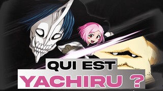 Qui est vraiment YACHIRU KUSAJISHI ?