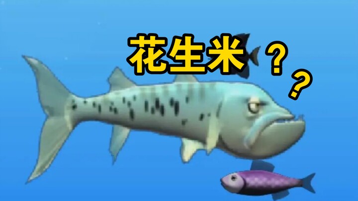 海洋生物会吃花生米吗？
