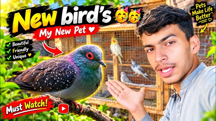 New Birds in My Cage 🐦🔥 | Full Setup & Surprise!”|Ali pet house