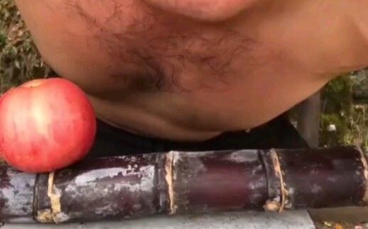 甘  蔗  榨  汁  机