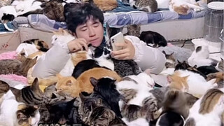 Dozens of cats crowded on the streamer for hours, yet the streamer kept going, all just to earn a bi