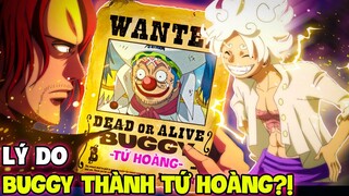 VÌ SHANKS NÊN BUGGY TRỞ THÀNH TỨ HOÀNG?! | NGUYÊN DO BUGGY TRỞ THÀNH TỨ HOÀNG TRONG ONE PIECE