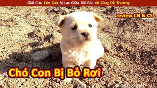 Giải Cứu Cún Con Bị Lạc Giữa Bãi Rác Vô Cùng Dễ Thương || Review Con Người Và Cuộc Sống