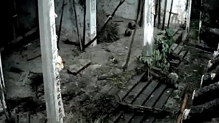 Drunken Master [1978] ENG Subtitles