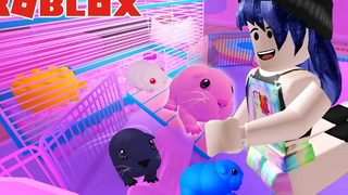 สัตว์เลี้ยงตัวใหม่ของพี่นิว Roblox 🐹 Piggy Life 🐹