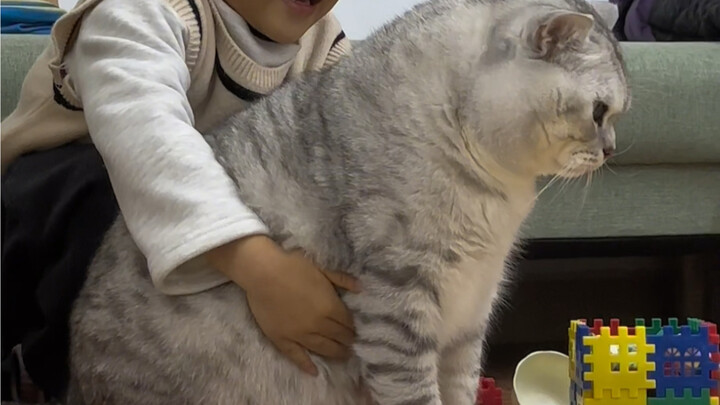 Dazhuang is blocking the toy, I want to move Dazhuang away
