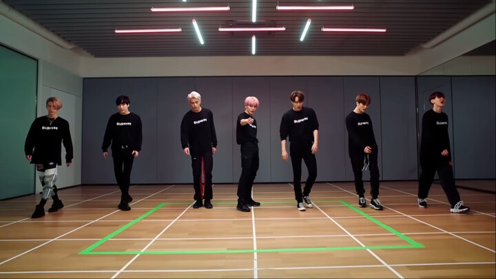 SuperM - 'Tiger Inside' Dance Practice Mirrored [Full Version] | Kpop