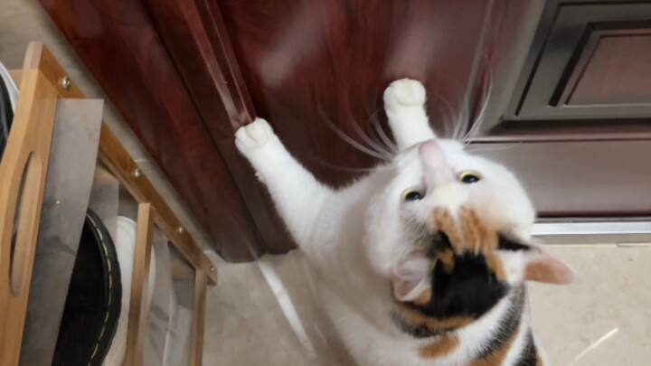 هذا هو المكان، افتح الباب بسرعة!