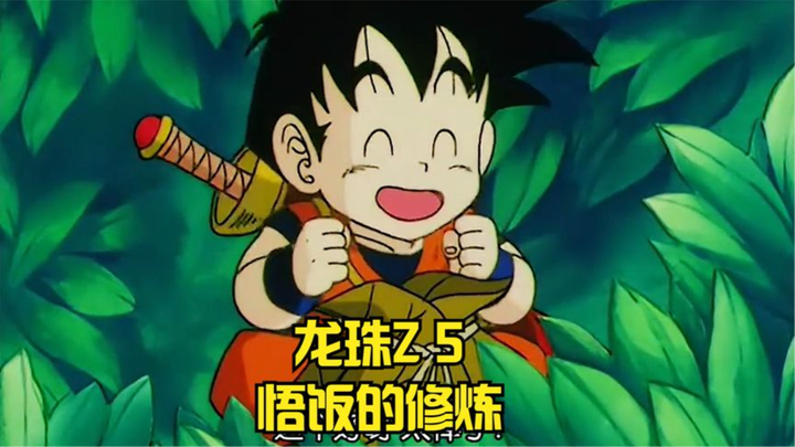 Dragon Ball Z,5,Gohan's Training